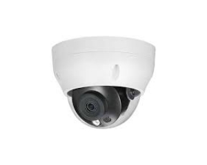 CAMERA DAHUA DS2230RDIP-S2