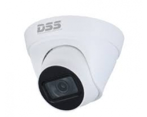 CAMERA DAHUA DS2431TDIP-S2