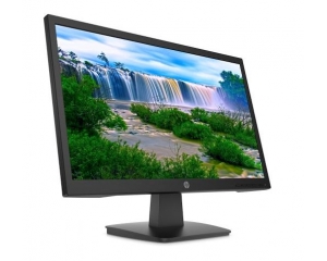 Màn hình máy tính HP P22v G4 21.5 inch FHD (9TT53AA)