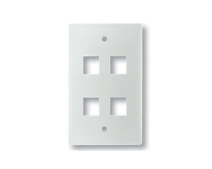 Mặt nạ 4 port Dintek Wallplate (1303-11022)