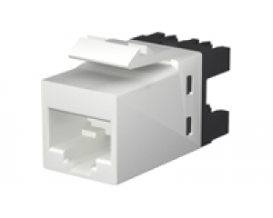 Đầu nối RJ45-Modular Jack COMMSCOPE CAT6