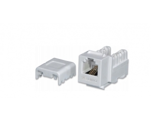 Modular Jack - Ổ cắm thoại RJ11 Keystone Jack Dintek Cat.3 Unshielded (1305-01007