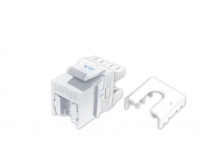 Modular Jack - Ổ cắm Dintek CAT.5e EZI-Keystone Jack Dintek (1305-03048)